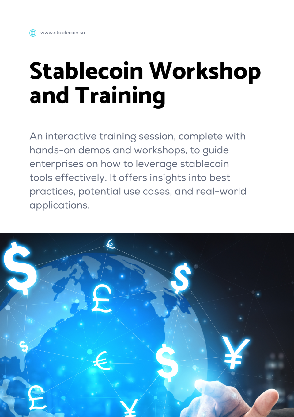 Stablecoin Workshop and Training